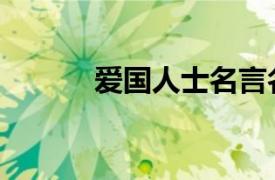 爱国人士名言名句（爱国人士）