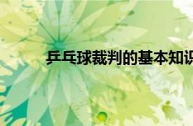 乒乓球裁判的基本知识（乒乓球裁判工作指南）