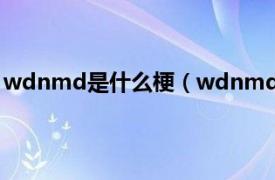 wdnmd是什么梗（wdnmd闸总什么梗相关内容简介介绍）