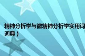 精神分析学与微精神分析学实用词典 pdf（精神分析学与微精神分析学实用词典）