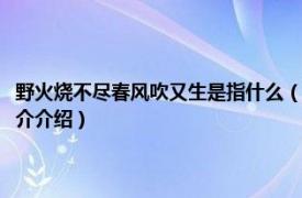 野火烧不尽春风吹又生是指什么（野火烧不尽春风吹又生的意思相关内容简介介绍）