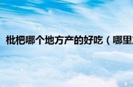 枇杷哪个地方产的好吃（哪里产的枇杷好吃相关内容简介介绍）