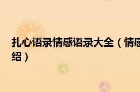 扎心语录情感语录大全（情感段子精选扎心语录相关内容简介介绍）