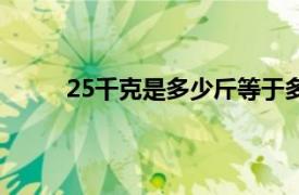 25千克是多少斤等于多少斤（25千克是多少斤）