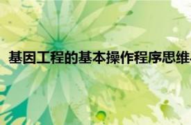 基因工程的基本操作程序思维导图（基因工程的基本操作程序）