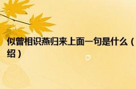 似曾相识燕归来上面一句是什么（似曾相识燕归来的上一句相关内容简介介绍）