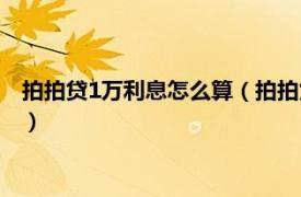 拍拍贷1万利息怎么算（拍拍贷1万每月还多少相关内容简介介绍）