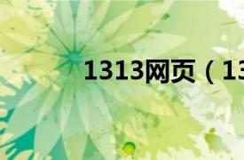 1313网页（131452网址导航）