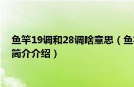 鱼竿19调和28调啥意思（鱼竿19调和28调是什么意思相关内容简介介绍）