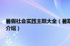 暑假社会实践主题大全（暑期社会实践主题有哪些相关内容简介介绍）