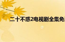 二十不惑2电视剧全集免费观看完整版（二十不惑2）