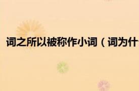 词之所以被称作小词（词为什么被称为小词相关内容简介介绍）