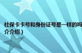 社保卡卡号和身份证号是一样的吗（社保卡号和身份证号一样吗相关内容简介介绍）