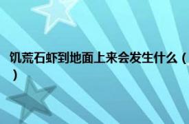 饥荒石虾到地面上来会发生什么（饥荒石虾带上来的惨状相关内容简介介绍）