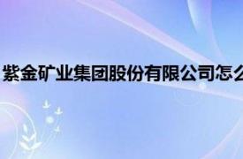 紫金矿业集团股份有限公司怎么样（紫金矿业集团股份有限公司）