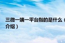 三微一端一平台指的是什么（三微一端一网指什么相关内容简介介绍）