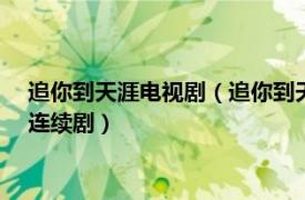 追你到天涯电视剧（追你到天边 2003年导演史晨风执导的电视连续剧）