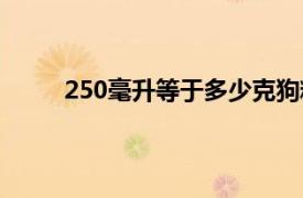 250毫升等于多少克狗粮（250毫升等于多少克）