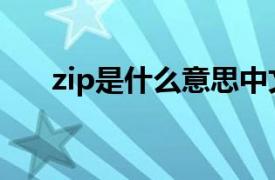 zip是什么意思中文（zip是什么意思）