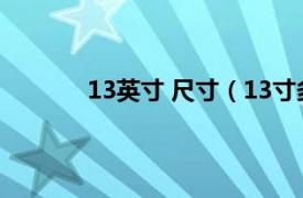 13英寸 尺寸（13寸多大相关内容简介介绍）