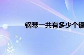 钢琴一共有多少个键?（钢琴共有多少个键）