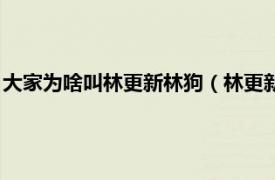 大家为啥叫林更新林狗（林更新为什么叫林狗相关内容简介介绍）