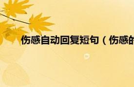 伤感自动回复短句（伤感的自动回复相关内容简介介绍）