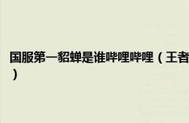 国服第一貂蝉是谁哔哩哔哩（王者荣耀国服第一貂蝉是谁相关内容简介介绍）