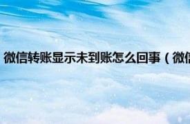 微信转账显示未到账怎么回事（微信转账未到账怎么办相关内容简介介绍）