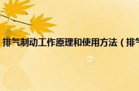 排气制动工作原理和使用方法（排气制动到底该怎么用相关内容简介介绍）