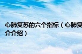 心肺复苏的六个指标（心肺复苏技术指标5项各是什么相关内容简介介绍）