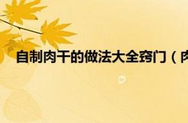 自制肉干的做法大全窍门（肉干怎么制作相关内容简介介绍）