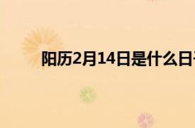 阳历2月14日是什么日子（2月14日是什么日子）