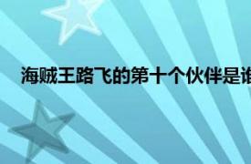 海贼王路飞的第十个伙伴是谁（海贼王路飞第七个伙伴是谁）