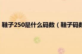 鞋子250是什么码数（鞋子码数250是多少码相关内容简介介绍）