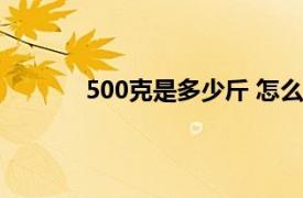 500克是多少斤 怎么算的（500克是多少斤）