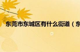 东莞市东城区有什么街道（东城街道 广东省东莞市下辖街道）