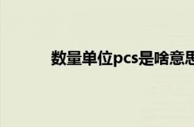 数量单位pcs是啥意思（pcs是什么计量单位）