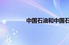 中国石油和中国石化有什么区别哪个好