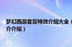 梦幻西游套装特效介绍大全（梦幻西游套装效果介绍相关内容简介介绍）