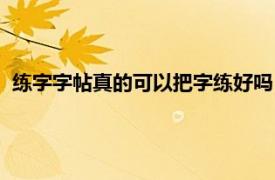 练字字帖真的可以把字练好吗（买字帖练字真的可以把字练吗）