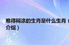 难得糊涂的生肖是什么生肖（难得糊涂是什么生肖相关内容简介介绍）