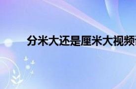 分米大还是厘米大视频讲说（分米大还是厘米大）