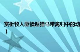 赏析牧人驱犊返猎马带禽归中的动词（猎马带禽归上一句相关内容简介介绍）