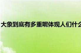 大象到底有多重呢体现人们什么（大象有多重相关内容简介介绍）