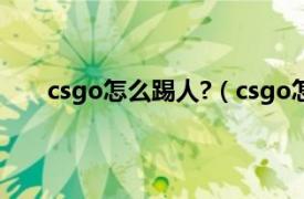 csgo怎么踢人?（csgo怎么踢人相关内容简介介绍）