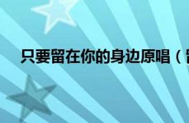 只要留在你的身边原唱（留在我身边 迟玉昊演唱歌曲）