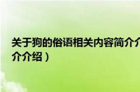 关于狗的俗语相关内容简介介绍英语（关于狗的俗语相关内容简介介绍）