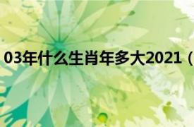 03年什么生肖年多大2021（03年属什么今年 2022年多大）