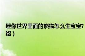 迷你世界里面的熊猫怎么生宝宝?（迷你世界如何生小熊猫相关内容简介介绍）